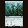 Awaken the Woods [The Brothers' War] full-card image