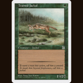 Trained Cheetah [Portal Three Kingdoms] PTK #155 card image